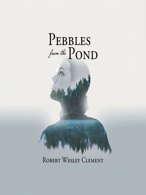 cover image of Pebbles From the Pond